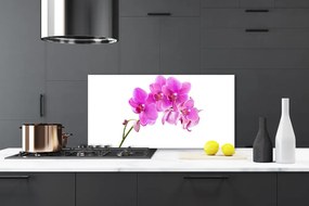 Sklenený obklad Do kuchyne Vstavač kvet orchidea 100x50 cm