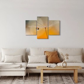 Obraz - Makro kvetu (90x60 cm)