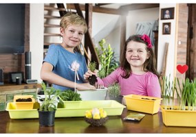 Gardenico Sada truhlíkov Mini Garden 5 ks, 60 cm