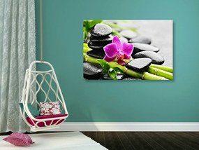 Obraz Spa zátišie s fialovou orchideou - 90x60