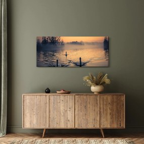 Obraz labutí na vode v hmle (120x50 cm)