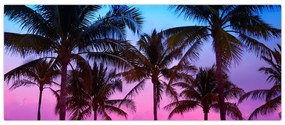 Obraz - Palmy v Miami (120x50 cm)