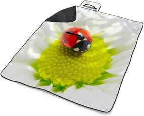 Sablio Plážová deka Lienka na kvete: 200x140 cm