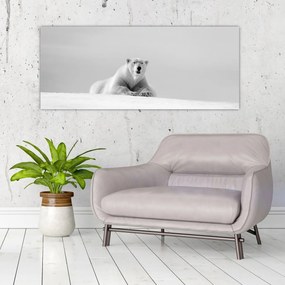 Obraz - Ľadový medveď, čiernobiela (120x50 cm)