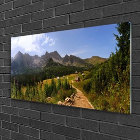 Skleneny obraz Hala góry droga natura łąka 100x50 cm