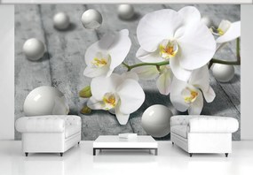 Fototapeta - Biela orchidea (254x184 cm)