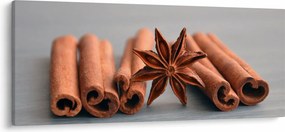 Obraz škorice (120x50 cm)