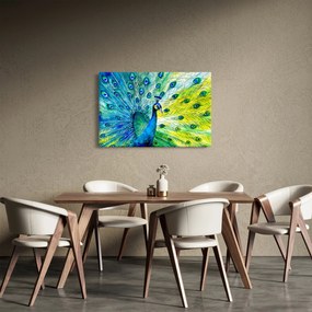 Obraz páva (90x60 cm)
