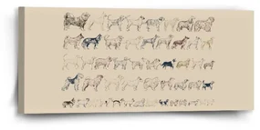 Sablio Obraz Psie plemená - 110x50 cm