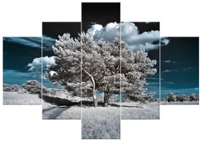 Gario Obraz na plátne Záhadné silné stromy Veľkosť: 125 x 70 cm