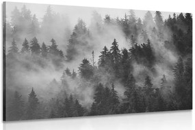 Obraz hory v hmle v čiernobielom prevedení