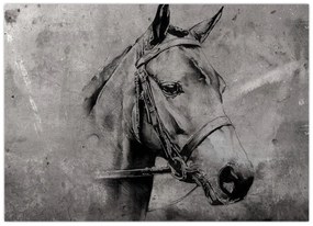 Obraz - Portrét koňa (70x50 cm)