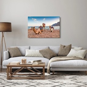 Obraz tiav (90x60 cm)