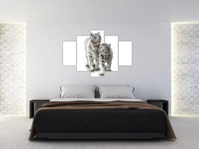 Obraz - Biely tiger (150x105 cm)
