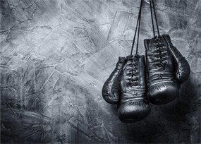 Sklenený obraz - Boxerské rukavice (70x50 cm)