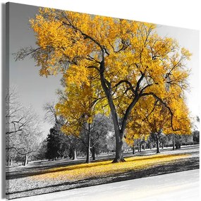 Artgeist Obraz - Autumn in the Park (1 Part) Wide Gold Veľkosť: 60x40, Verzia: Premium Print