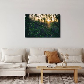 Obraz presvitajúceho slnka cez vetvičky stromov (90x60 cm)