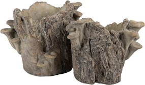 Hnedý cementový kvetináč kmeň stromu s hubami Botanic M - 24*18*18 cm