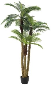 Okrasná trojitá palma v kvetináči Palm - Ø180 * 300cm