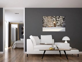 Obraz - Kôň v zimnej krajine (90x60 cm)