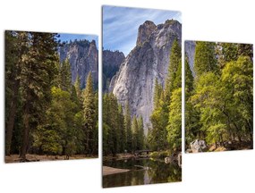 Obraz - Pod Yosemite skalou (90x60 cm)