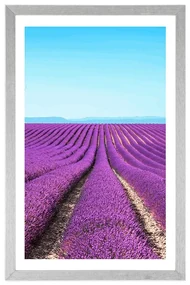 Plagát s paspartou nekonečné levanduľové pole - 40x60 white