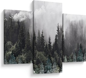 Obraz - Les s ilustrovanými prvkami (90x60 cm)