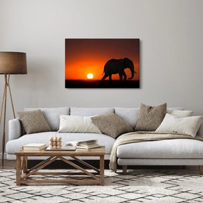 Obraz slona pri západe slnka (90x60 cm)