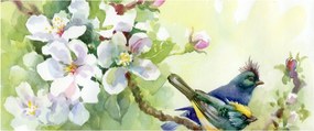 Obraz - Jar (120x50 cm)