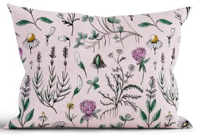 Bavlnená obliečka na vankúš Renforcé 50 × 70 cm - Herbár staroružový