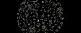 Obraz - Príroda (120x50 cm)