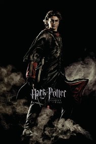 Umelecká tlač Harry Potter and the Goblet of Fire - Harry