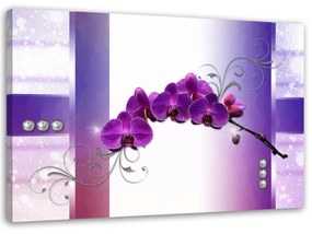 Obraz na plátně Orchidej Květina Orchidej Fialová - 100x70 cm