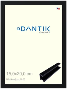 DANTIK rám na obraz 15x20 | ALU Černá Florentinská (Sklo Čiré)