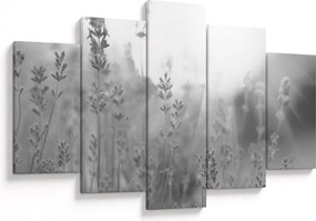 Obraz - Levanduľa (150x105 cm)