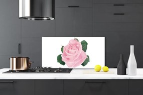 Nástenný panel  Ruže kvet rastlina 100x50 cm