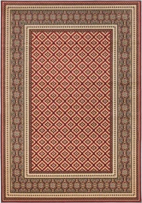 Koberec Agnella Standard Apium Terakota