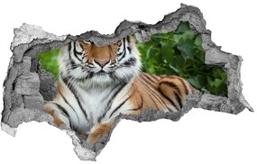 Diera 3D fototapeta nálepka Tiger ussurijský nd-b-129133169