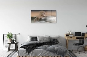 Sklenený obraz Unicorn mraky 100x50 cm