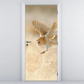 Fototapeta na dvere - Plamienka driemavá (95x205cm)