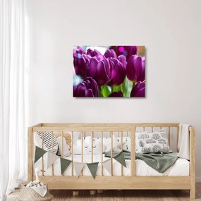 Sklenený obraz tulipánov (70x50 cm)