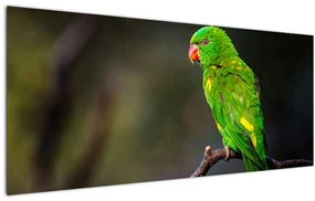 Obraz papagája na vetve (120x50 cm)