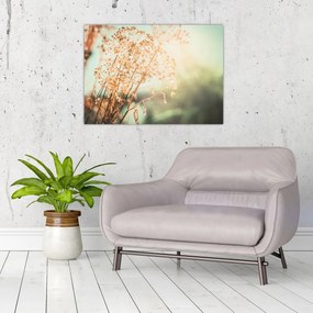 Obraz - Rastliny po daždi (70x50 cm)