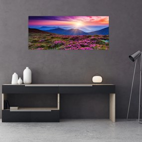 Obraz - Horská rozkvitnutá krajina (120x50 cm)