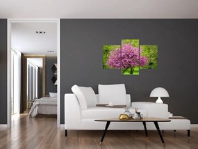 Obraz rozkvitnutého stromu na lúke (90x60 cm)