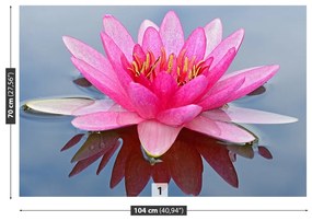 Fototapeta Vliesová Ružový lekno 250x104 cm