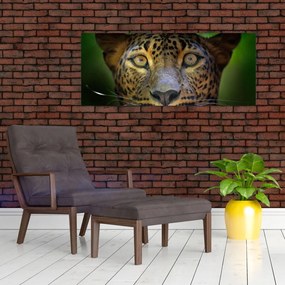 Obraz - Portrét leoparda, Sri Lanka (120x50 cm)
