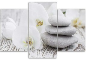 Gario Obraz na plátne Biela orchidea a kamene - 3 dielny Rozmery: 60 x 40 cm