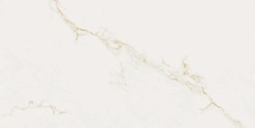 Dlažba Finezza Oro Pulido 60x120 R