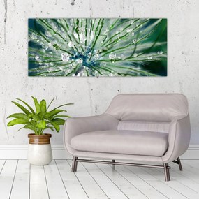 Obraz - Makro snímka kvetu (120x50 cm)